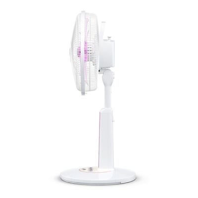 MITSUBISHI ELECTRIC Slide Fan 12 Inch (Pink) R12-MC